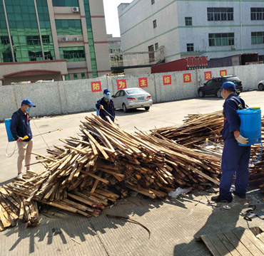 蚂蚁，蟑螂防治