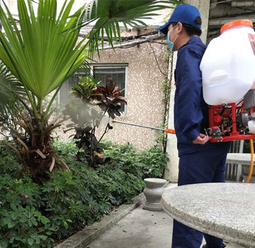 园林有害生物消杀