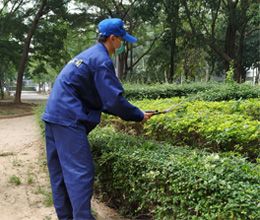 园林绿化工程